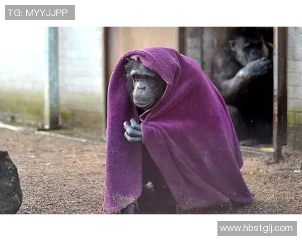 滑稽足球明星到底是谁让我们一起揭开他的搞笑面纱